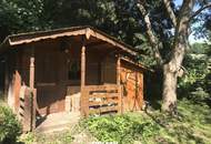 Natur pur - Holzblockhaus eingebettet in sonniger Ruhelage