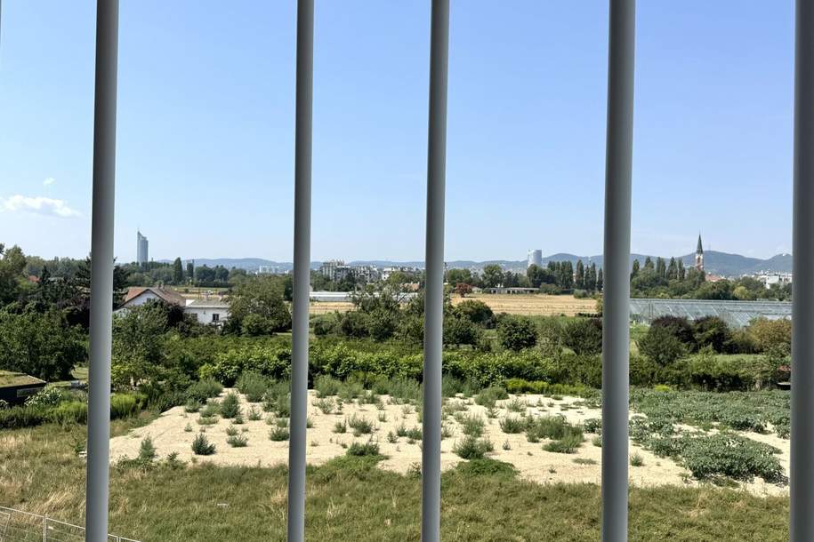 An der Schanze - Neubauprojekt in unschlagbarer Lage nahe U1 Kagran und der alten Donau - Erstbezug, Wohnung-miete, 949,00,€, 1210 Wien 21., Floridsdorf
