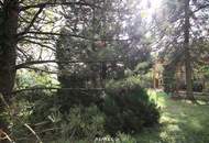 Eigengrund: Grünland mit Gartenhaus - Großes Grundstück in Mauer am Kadoltsberg - direkt am Lainzer Tiergarten