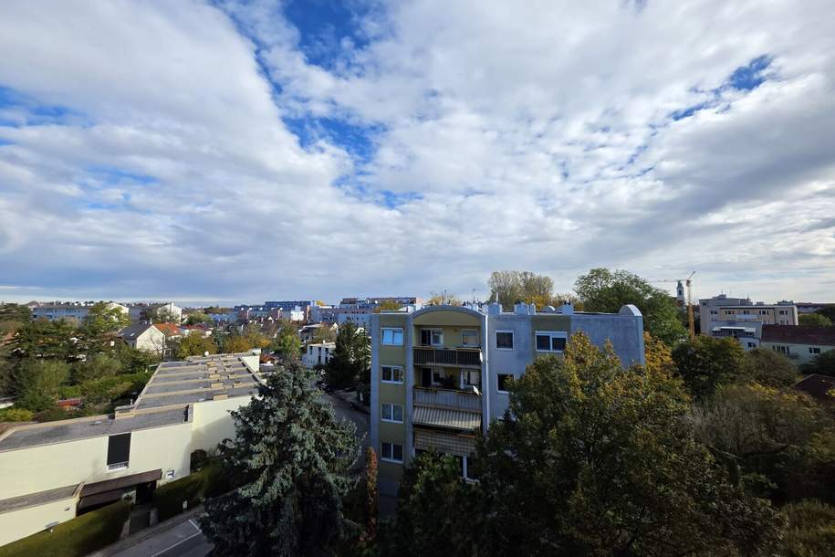 Helles Dachgeschoß in zentraler Lage!, Wohnung-kauf, 249.900,€, 2700 Wiener Neustadt(Stadt)