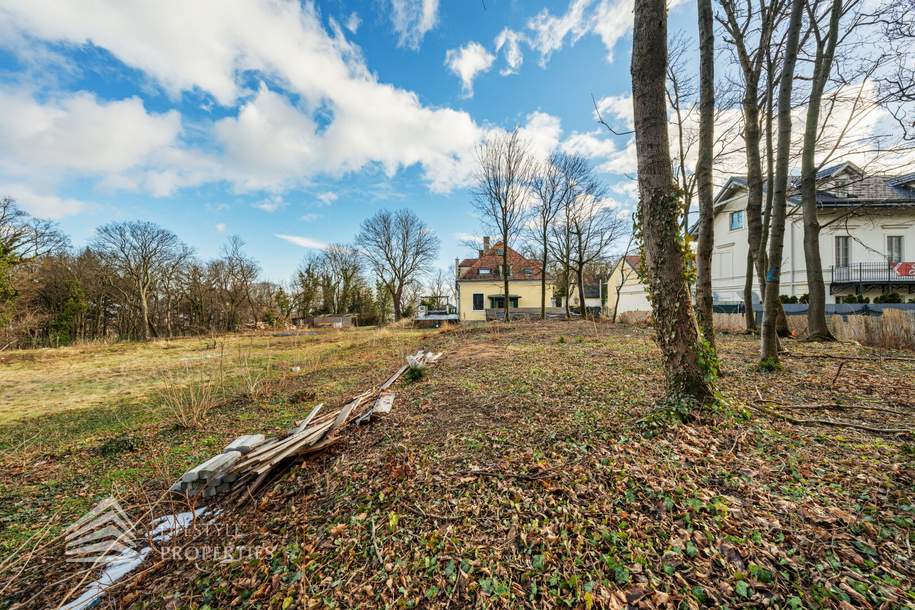 Exklusives Baugrundstück in einzigartiger Lage mit Einreichplanung!, Grund und Boden-kauf, 7.000.000,€, 1190 Wien 19., Döbling