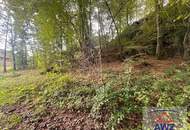 Schnäppchenjäger aufgepasst: Naturhaus zum Tiefstpreis! Nur 25 Minuten nach Linz!