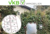 Naturnah & ruhig: Grundstück mit Altbestand in Spattendorf - Gemeinde Alberndorf in der Riedmark (GST 2438/1)