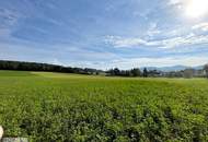 Idyllische Einfamilienhäuser mitten im Grünen