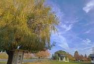 GESCHÄFTSLOKAL MIT VIELEN NUTZUNGSMÖGLICHKEITEN IN ZENTRALER LAGE