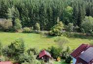 SONNIGE HANGLAGE AM WALDRAND