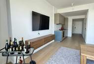 High-End Living in den DANUBE FLATS – 3 Zimmer mit Traumbalkon & Fernblick