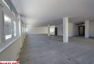 Ihr Büro in Hietzinger Bestlage
