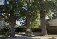 Historische Villa mit privatem Parkgarten in Langenlebarn bei Tulln