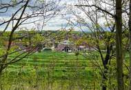 PREISREDUKTION für Verborgenen Schatz im Reintal - ein Weinviertler Wohnjuwel mit Potenzial