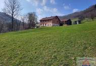 Bauernhof mit arrondiertem Grund in Alleinlage im Voralpengebiet!