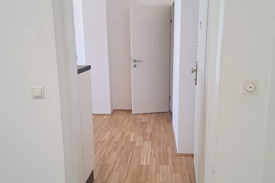 RIED IM INNKREIS: Singlewohnung im Zentrum zu vermieten!, Wohnung-miete, 465,24,€, 4910 Ried im Innkreis