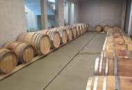 Weingut mit ca. 4 ha Weingärten im Südburgenland!