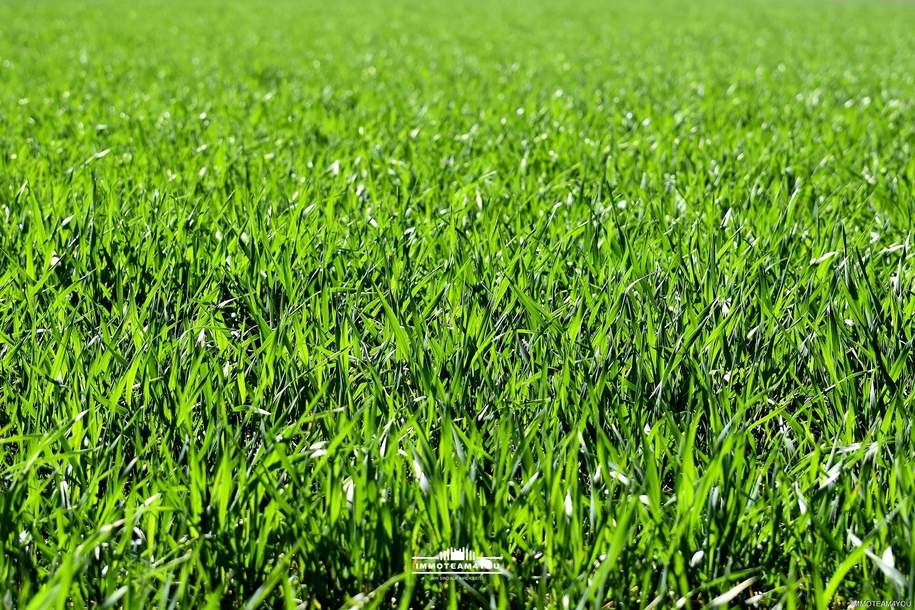 Perfektes Grundstück für gewerbliche Nutzung, Grund und Boden-kauf, 269.400,€, 4840 Vöcklabruck