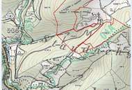Wald 28,3 ha bei Schwarzenbach/Pielach