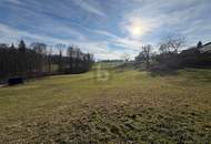 WOHNEN AUF HÖCHSTEM NIVEAU, KEIN BAUZWANG - SÜDHANG IN RUHELAGE MIT ZENTRUMSNÄHE