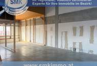RARITÄT – GERÄUMIGE HALLE IN TRUMAU!