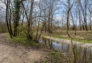 521m² Baugrundstück für Ihr Einfamilienhaus in absoluter Ruhelage