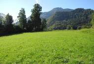 Hübsche, landwirtschaftliche Wiese mit kleinem Wald - KEIN Baugrund !!!