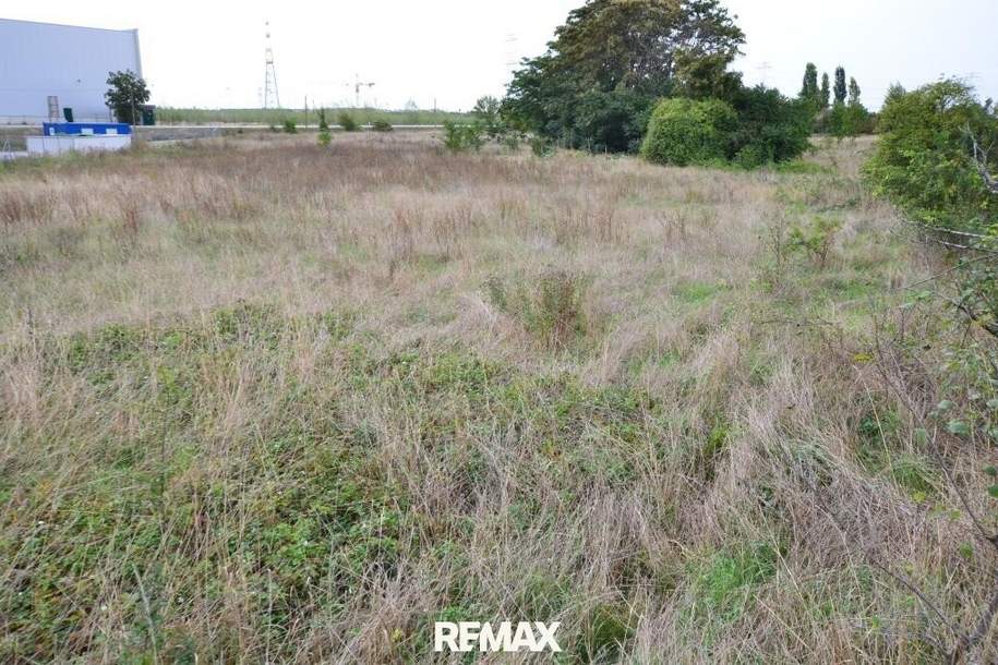 Lagerplatz, KFZ- Abstellflächen, Containerlager..., Gewerbeobjekt-miete, 190,00,€, 2325 Bruck an der Leitha