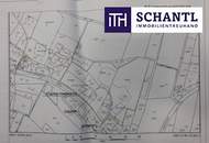 Ein Märchenschloss Nähe Wildon-komplett saniert mit prachtvoller ca. 40.000m² Parkanlage - Biomasseheizung!