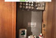 Naturnah & ruhig: Grundstück mit Altbestand in Spattendorf - Gemeinde Alberndorf in der Riedmark (GST 2438/1)