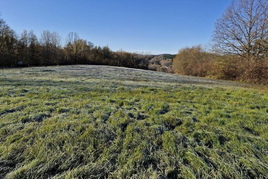 Baugrundstück in ruhiger Aussichtslage, Grund und Boden-kauf, 220.000,€, 7551 Güssing