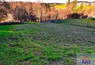 Baugrundstück mit landwirtschaflicher Nutzfläche!