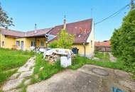 Ein Zuhause wie im Paradies: Gemütliche Rückzugsoase nahe Wien