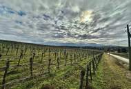 Ruhig gelegener, renovierter Weinkeller mit besonderem Flair!