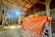 Ländliches Paradies - Sanierungsbedürftiges Landhaus auf großem Grundstück!