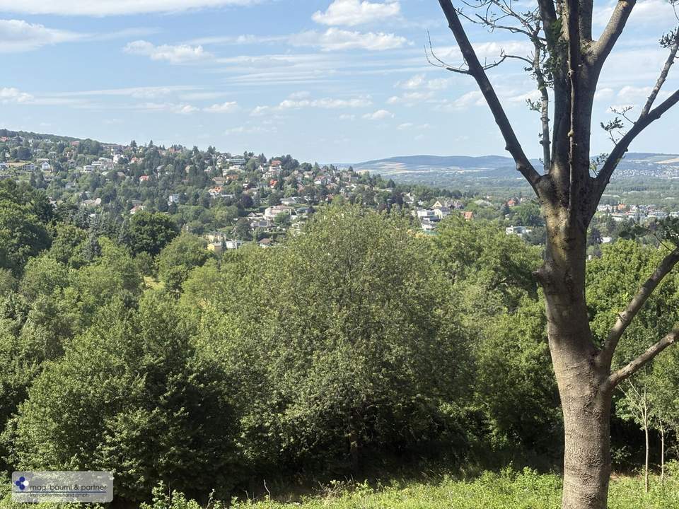Grünland mit Zufahrt und Aussicht