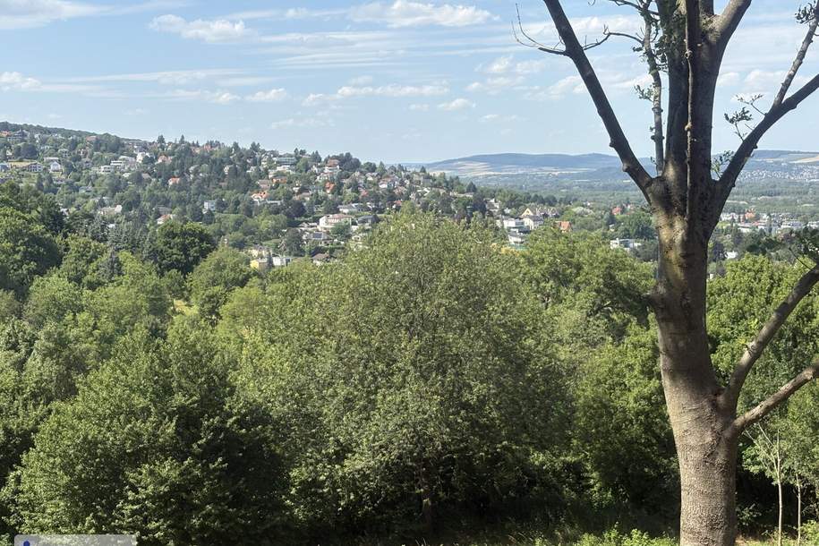 Grünland mit Zufahrt und Aussicht, Grund und Boden-kauf, 65.000,€, 3400 Tulln