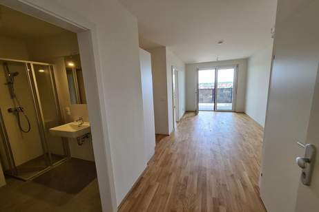 Glück auf Wolke 7 - Südblick im 7.Stock, Wohnung-miete, 890,00,€, 1220 Wien 22., Donaustadt