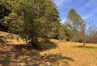 PREISREDUKTION! Attraktiver Baugrund inkl. Bewilligung für Wohnbauprojekt mit 4 Doppelhaushälften! Jetzt Anfragen!