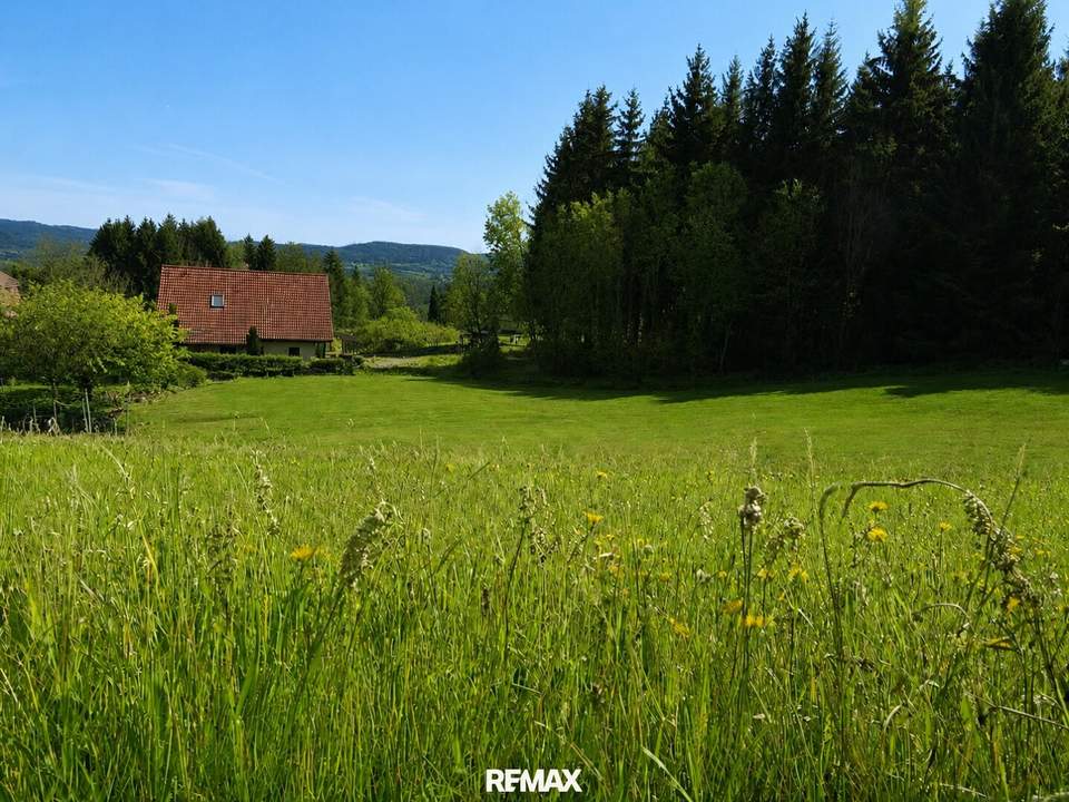 Baugrundstücke mit Wald und eigener Quelle - Nähe Golfclub Erzherzog Johann