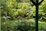 Charmante Altbauwohnung mit Balkon und Gartennutzung I Sievering I Saniert