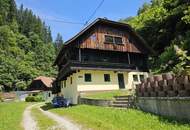 Ein uriges Bauernhaus für kreative, beherzte Handwerker