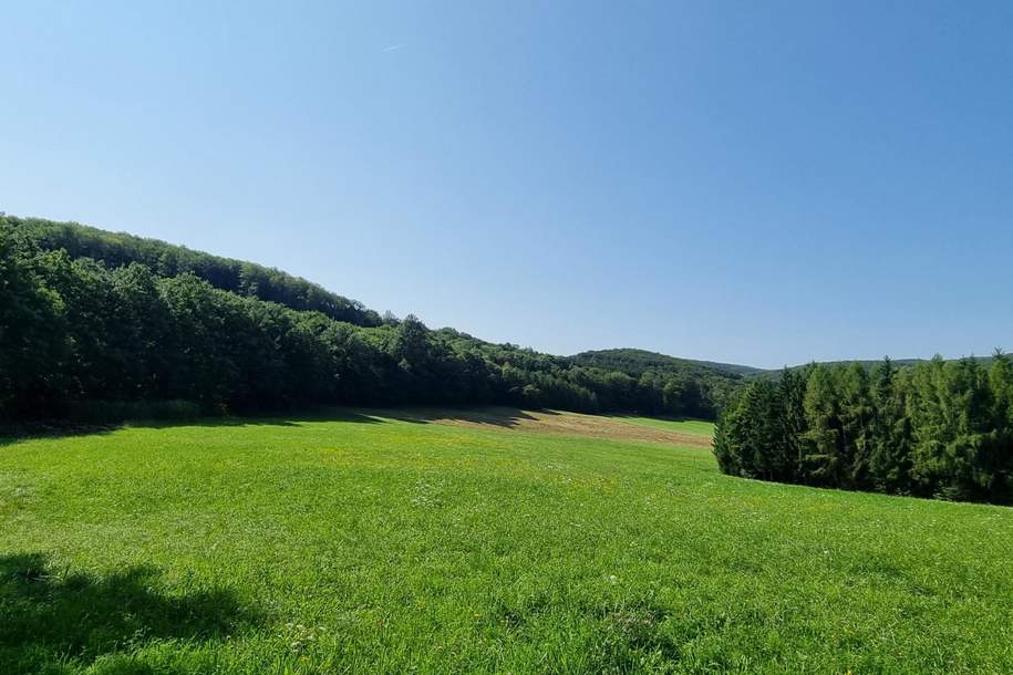 LANDWIRTSCHAFT VOR DEN TOREN WIENS, Gewerbeobjekt-kauf, 650.000,€, 3021 Sankt Pölten(Land)