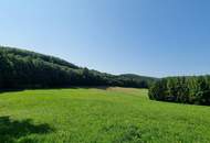 LANDWIRTSCHAFT VOR DEN TOREN WIENS