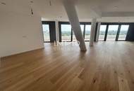 Großzügige 4 Zimmer Wohnung mit über 100 m² Balkon und Blick auf die Donau!