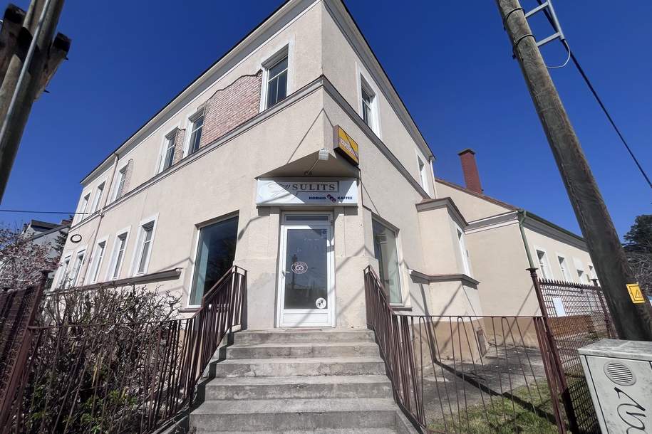 12 Zimmer Haus mit Geschäftslokal auf 948 m2 Grundstück, Haus-kauf, 885.000,€, 2500 Baden