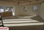 Wohnen am Fuße der Burg Hochosterwitz -Maisonette-Neubauwohnung mit Garten in Launsdorf