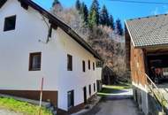 Für Naturliebhaber und Heimwerker- sanierungsbedürftiges Bauernhaus mit Nebengebäuden - zwischen Hermagor und Villach