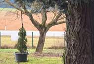 Charmantes Wohnhaus mit Arkadenterrasse, Pool und großem Grundstück in Deutsch Ehrensdorf