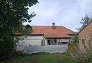 ,,Kleines Haus und großer Obstgarten in Hornstein!"