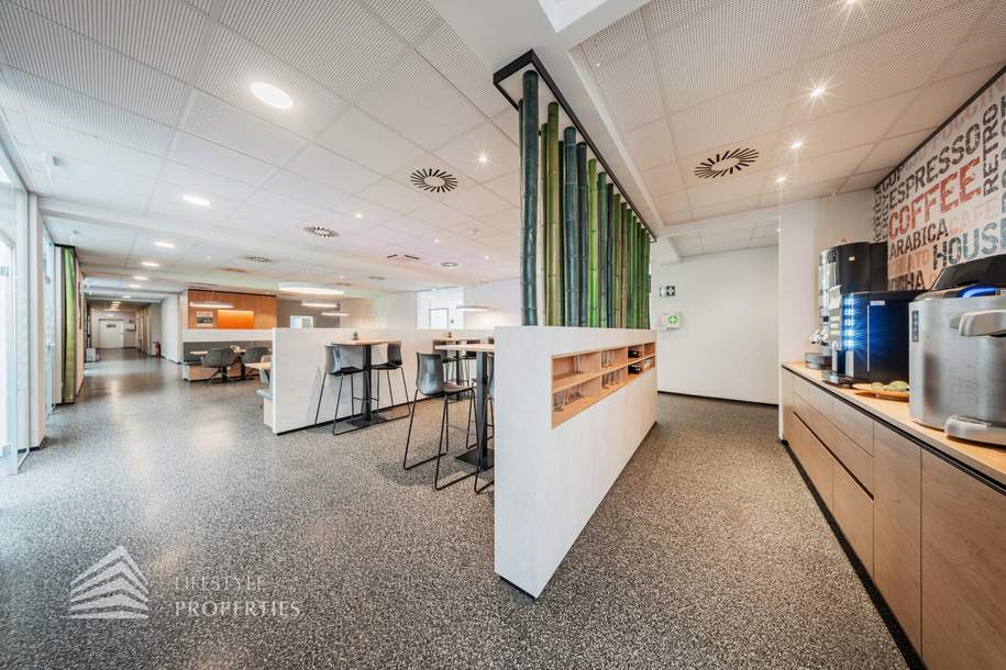 Vielseitig nuzbare Büro und Werkstattflächen - fleksibel teilbar in Gerasdorf bei Wien, Gewerbeobjekt-miete, 25.600,00,€, 2201 Korneuburg