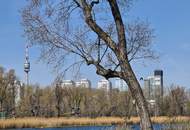 Neubauprojekt! Reihenhaus nahe Alte Donau und Donauzentrum