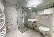 STEPHANSPLATZ-NÄHE, 27 m2 Apartment, 1 Zimmer, Kochnische, Duschbad, Parketten, 8. Liftstock, Rotenturmstraße