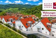 Weingartenblick - Spitz an der Donau